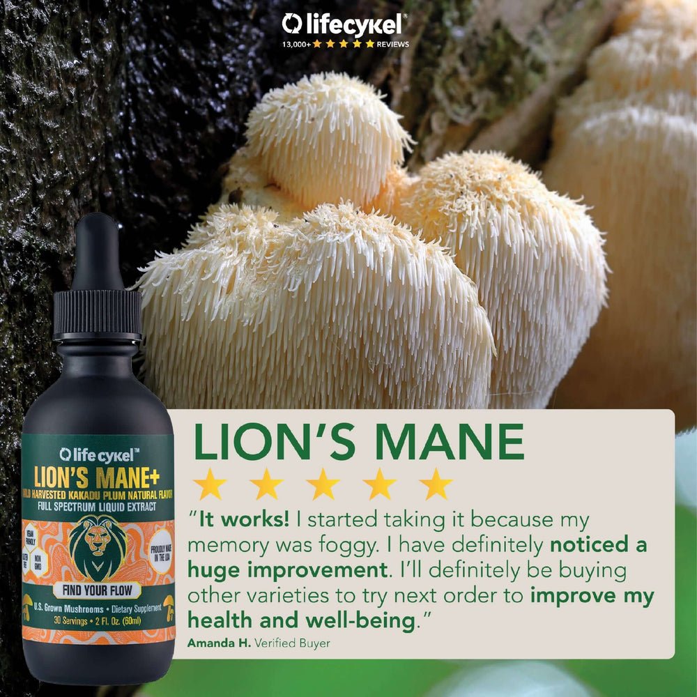 Lions Mane Dual Mushroom Liquid Extract 60ml - Lifecykel - Herbal Supplements - Eco Natural Products