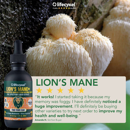 Lions Mane Dual Mushroom Liquid Extract 60ml - Lifecykel - Herbal Supplements - Eco Natural Products