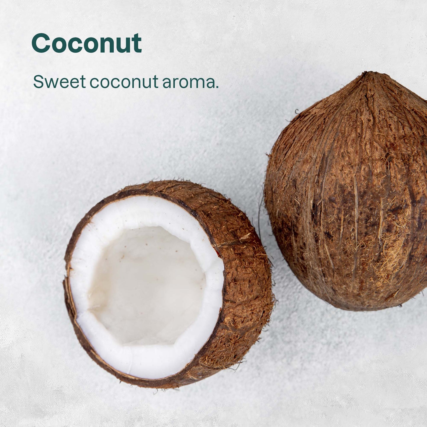 Lip Balm SPF 15 Coco 8.5g - Attitude - Lip Care - Eco Natural Products