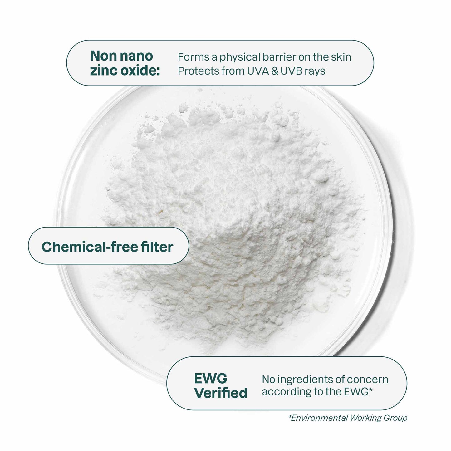 Lip Balm SPF 15 Coco 8.5g - Attitude - Lip Care - Eco Natural Products