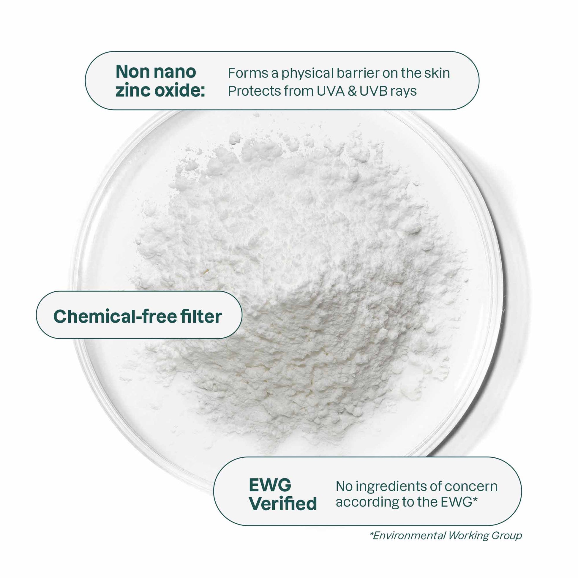 Lip Balm SPF 15 Coco 8.5g - Attitude - Lip Care - Eco Natural Products