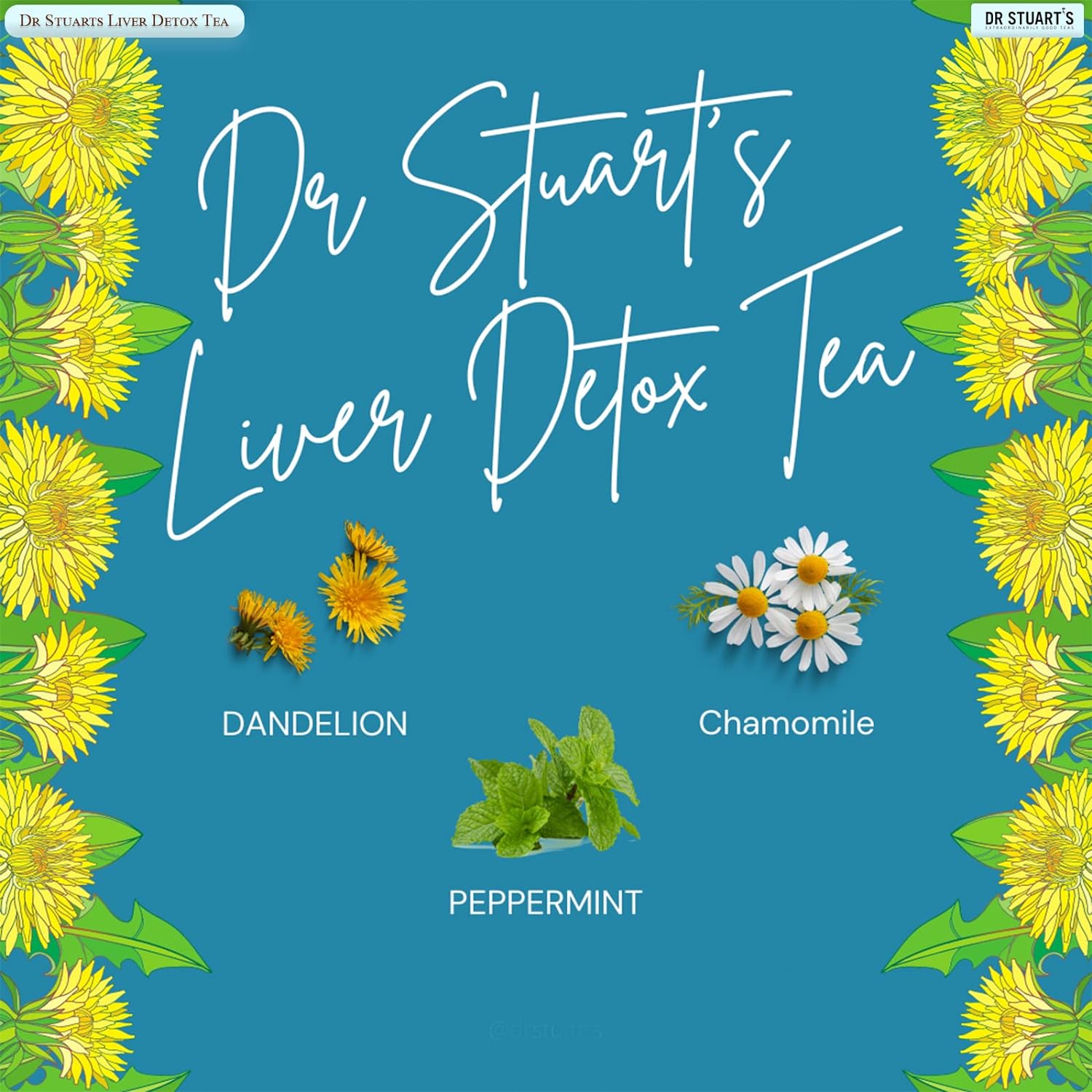 Liver Detox Tea 15 Bags - Eco Natural Products - Dr Stuart's - Herbal tea