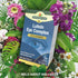 Lutein Eye Complex with Bilberry 90 Tablets - Eco Natural Products - Natures Aid - Vitamins & Supplements