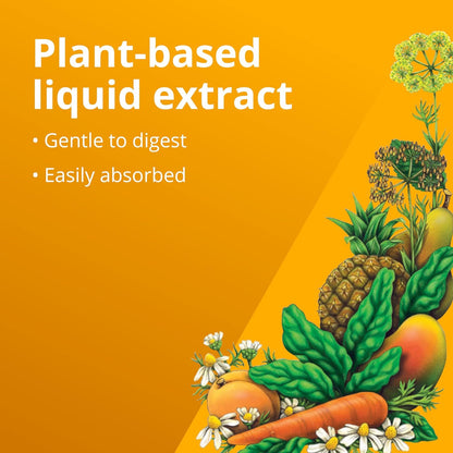 Magnesium Liquid Mineral Supplement 250ml - Floradix - Food Supplement - Eco Natural Products