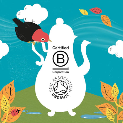 Medium Roast Arabica Coffee 500g - Clipper - Instant Coffee - Eco Natural Products