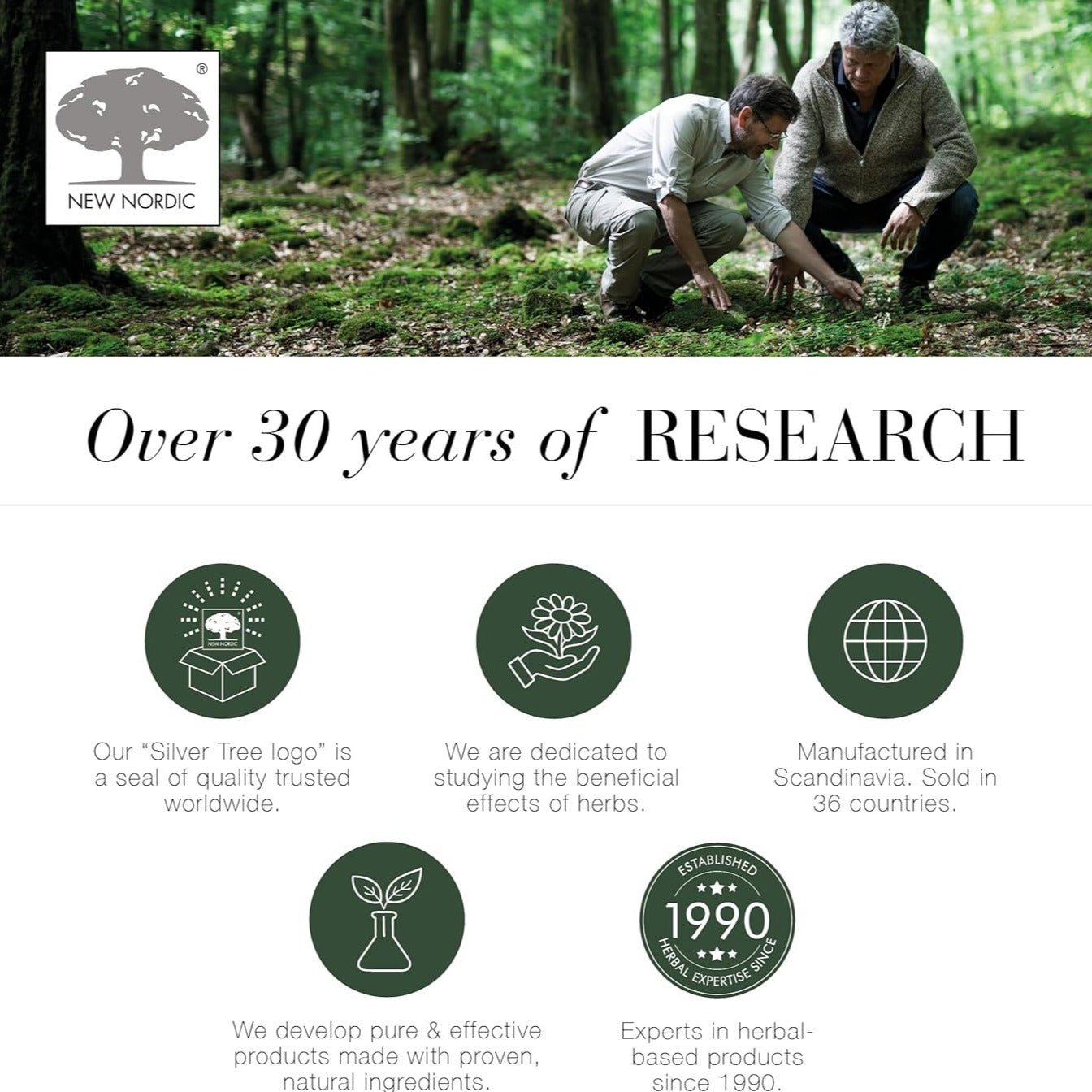 Melissa Dream 20 Tablets - New Nordic - Botanical & Food Supplements - Eco Natural Products