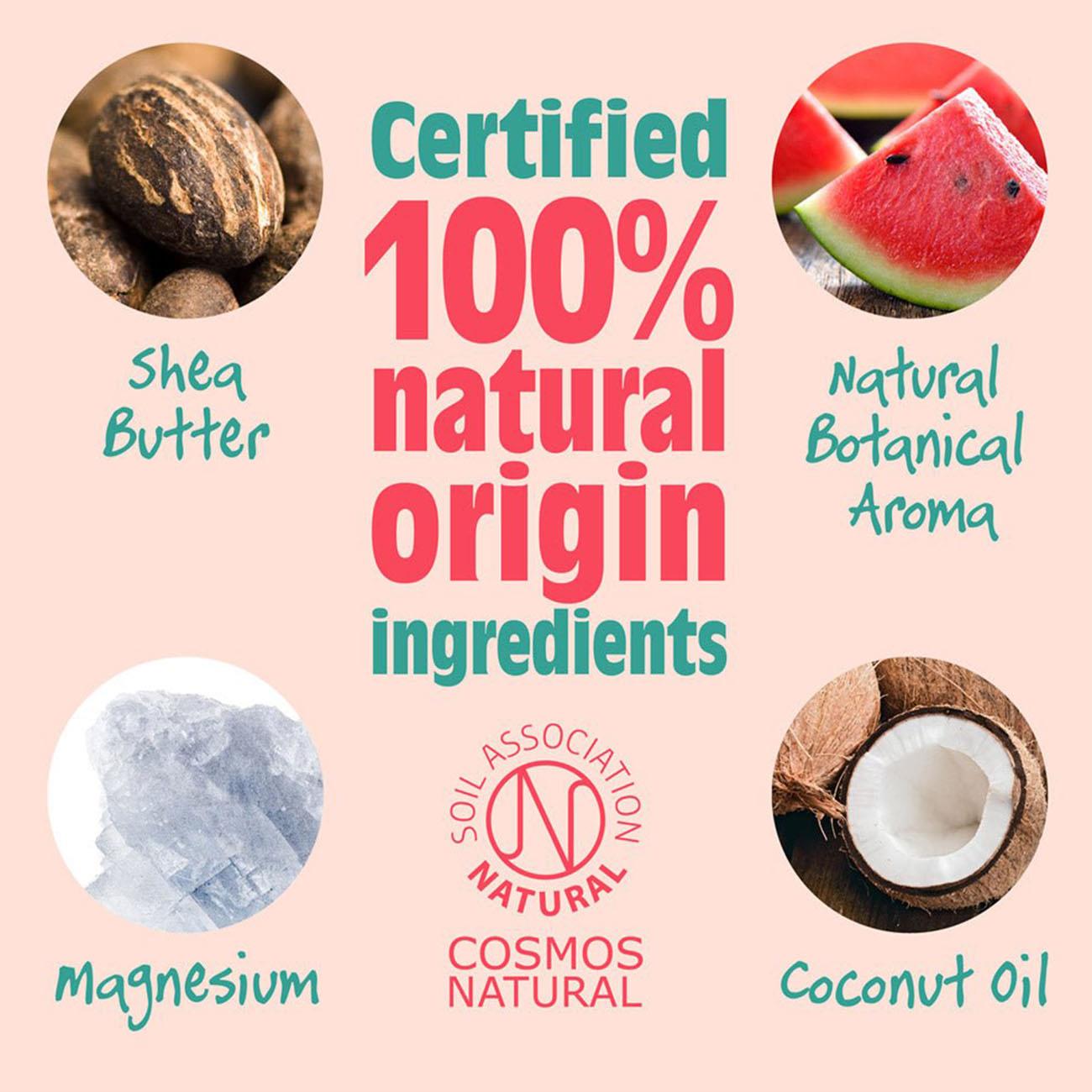 Melon & Cucumber Deodorant Stick 84g - Salt Of the Earth - Deodorant - Eco Natural Products