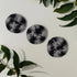 Monochrome 100% Cotton Face Scrubbies 3pcs - Eco Natural Products - Little Koala Bubbles - Cleansing Pad