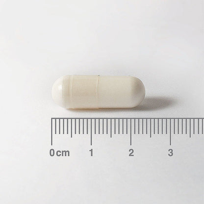 N - Acetyl Cysteine (NAC) 600Mg 60 Capsules - Lamberts - Food Supplement - Eco Natural Products