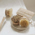 Reusable Bamboo Dish Brush Head (Firm Bristles)