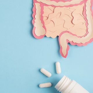 Digestion