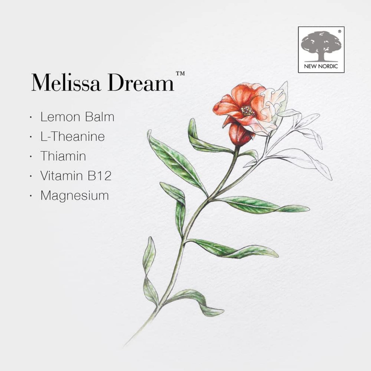New Nordic - Melissa Dream 20 Tablets BBE 11.2026 - New Nordic - Herbal Supplements - New Nordic