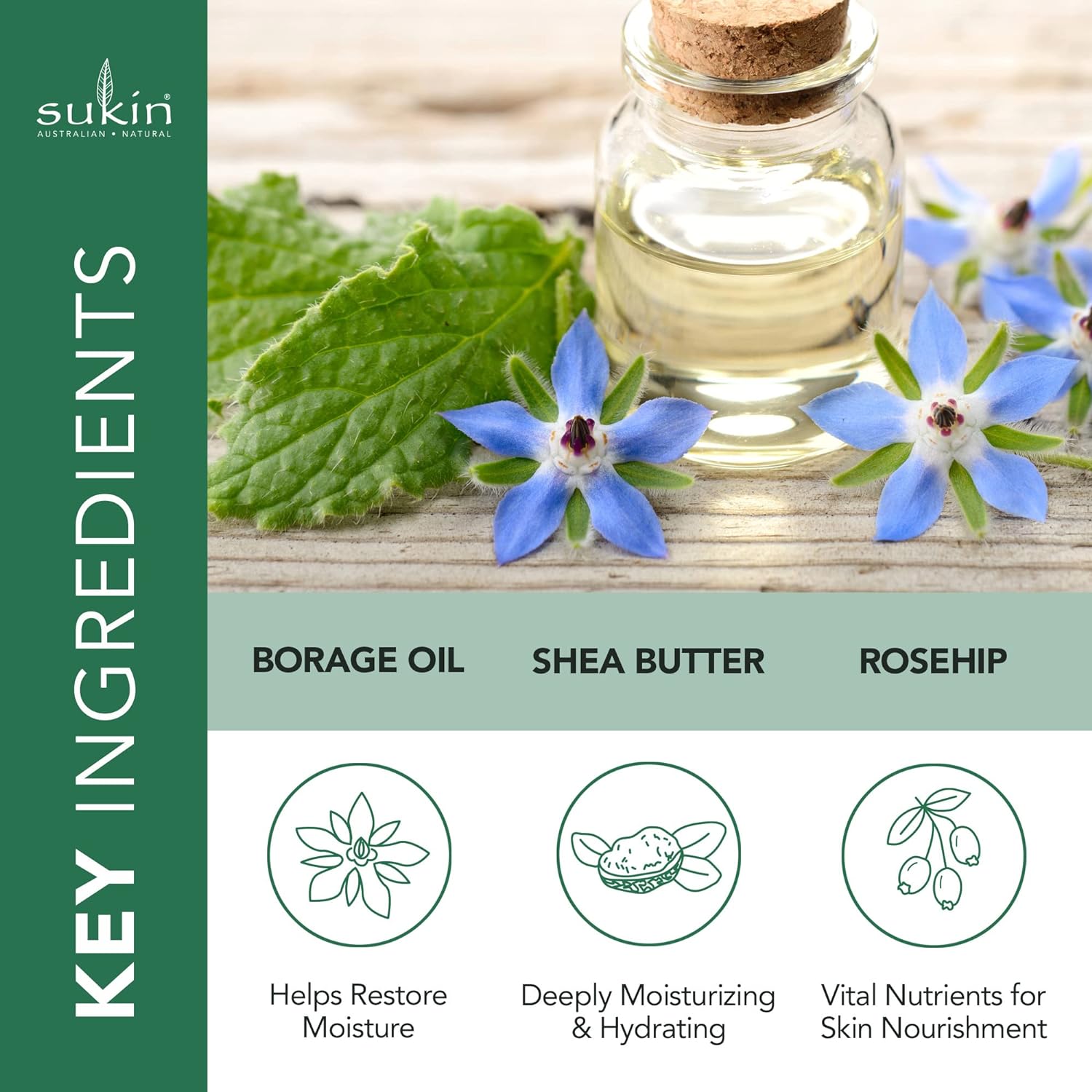 Night Cream Moisture Restoring Jar 120ml - Sukin - Night face cream - Eco Natural Products