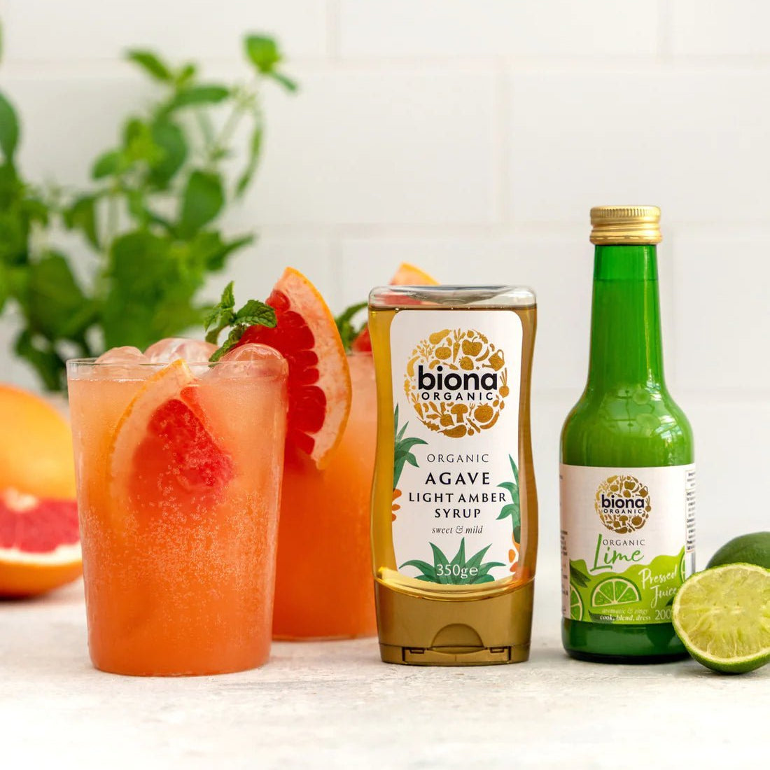 Organic Agave Light Syrup 250ml - Biona - Syrup - Eco Natural Products