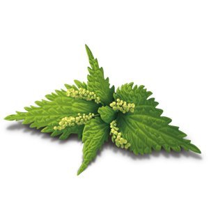 Organic Alkaline Herbs Tea 17 Bags - Yogi Tea - Tea - Eco Natural Products