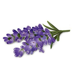 Organic Alkaline Herbs Tea 17 Bags - Yogi Tea - Tea - Eco Natural Products