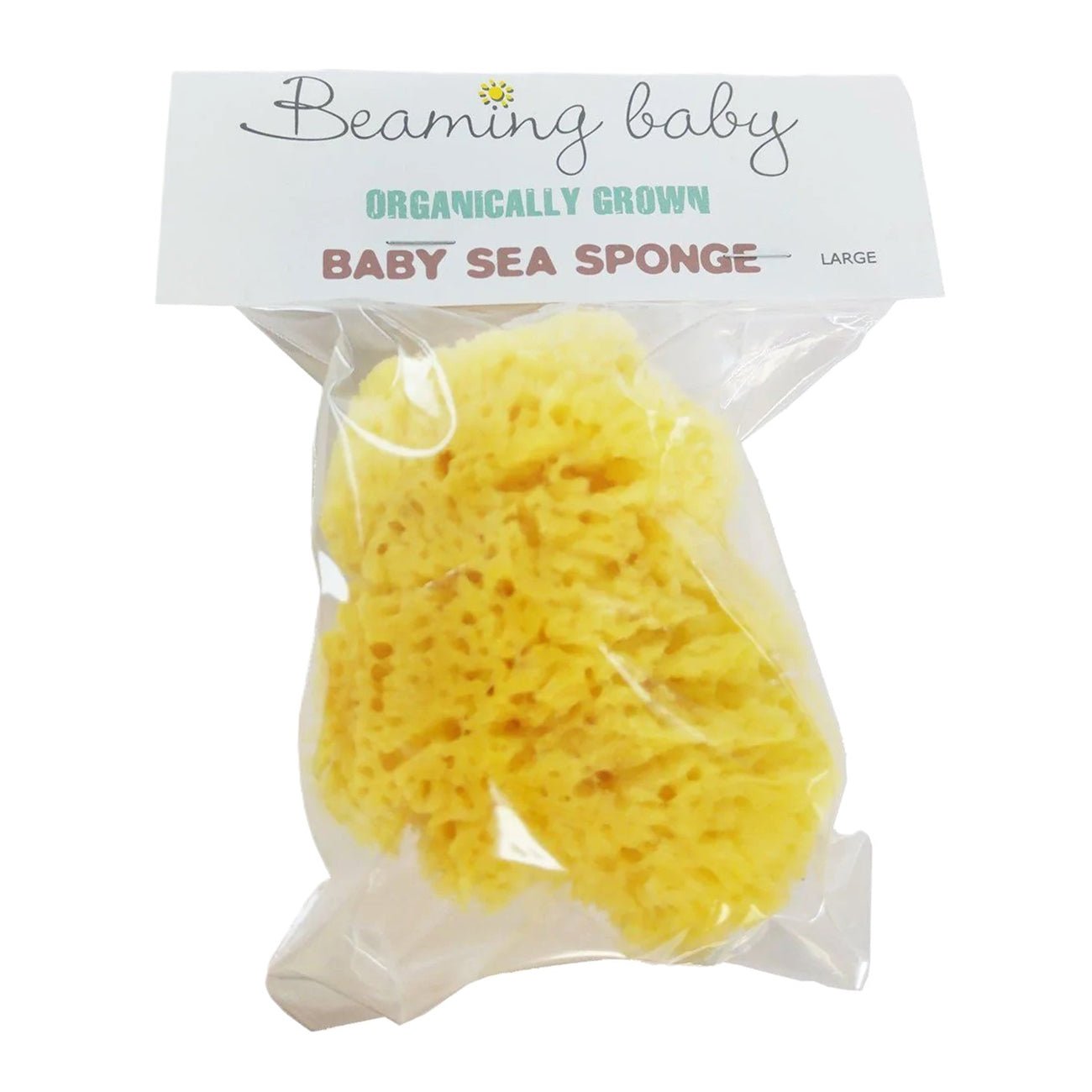 Organic Baby Sea Sponge Large [BLACK FRIDAY] - Eco Natural Products - Beaming Baby - Bath Sponges & Loofahs