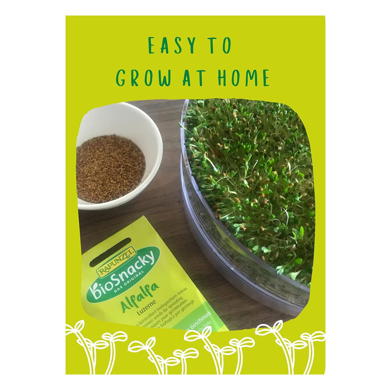 Organic BioSnacky Alfalfa Sprouting Seeds 40g - A. Vogel - Sprouting seeds - Eco Natural Products