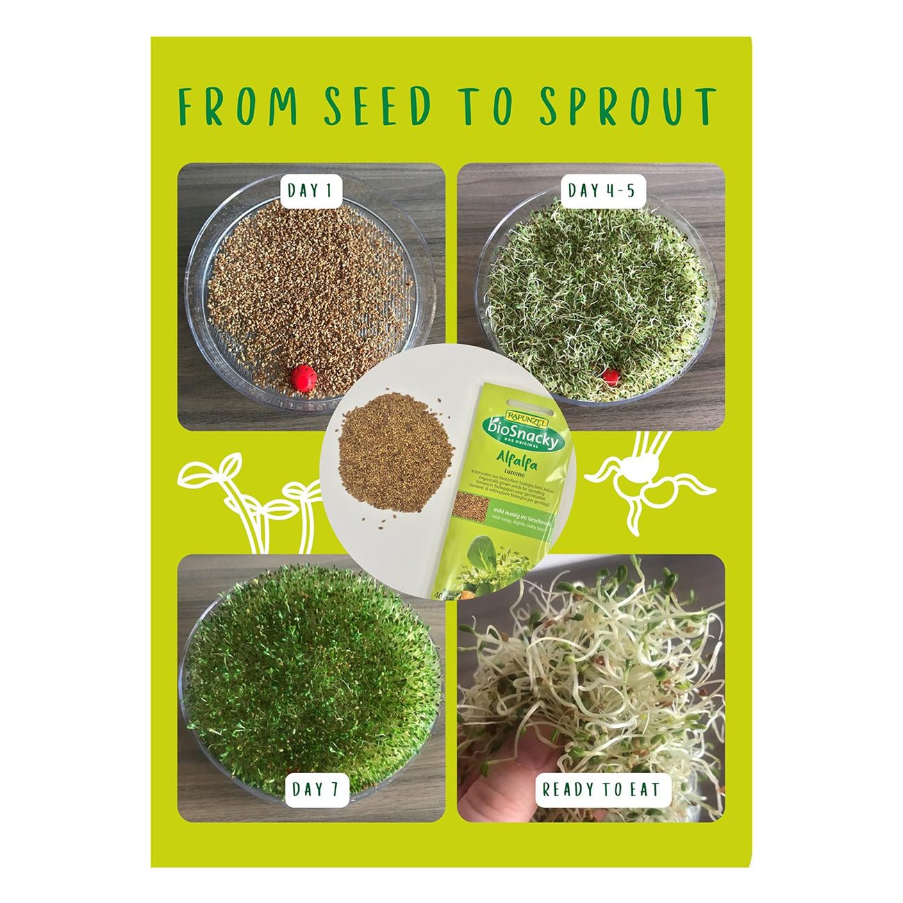 Organic BioSnacky Alfalfa Sprouting Seeds 40g - A. Vogel - Sprouting seeds - Eco Natural Products