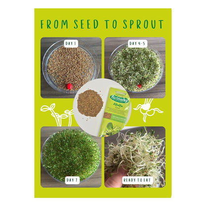 Organic BioSnacky Alfalfa Sprouting Seeds 40g - A. Vogel - Sprouting seeds - Eco Natural Products