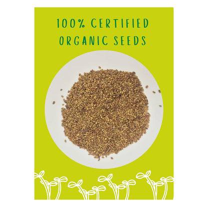 Organic BioSnacky Alfalfa Sprouting Seeds 40g - A. Vogel - Sprouting seeds - Eco Natural Products
