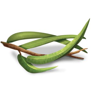 Organic Breathe Deep Herbal Tea 17 Bags - Yogi Tea - Tea - Eco Natural Products