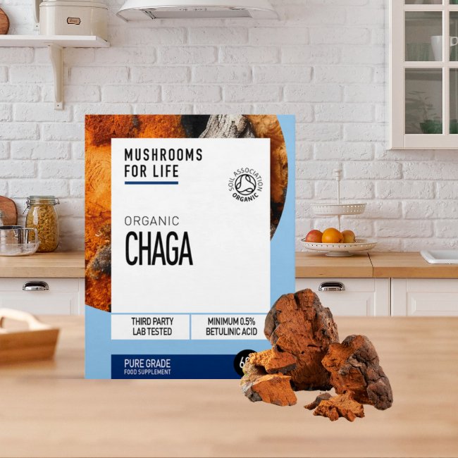 Organic Chaga Powder 60g - Mushrooms 4 Life - Mushroom powder - Eco Natural Products