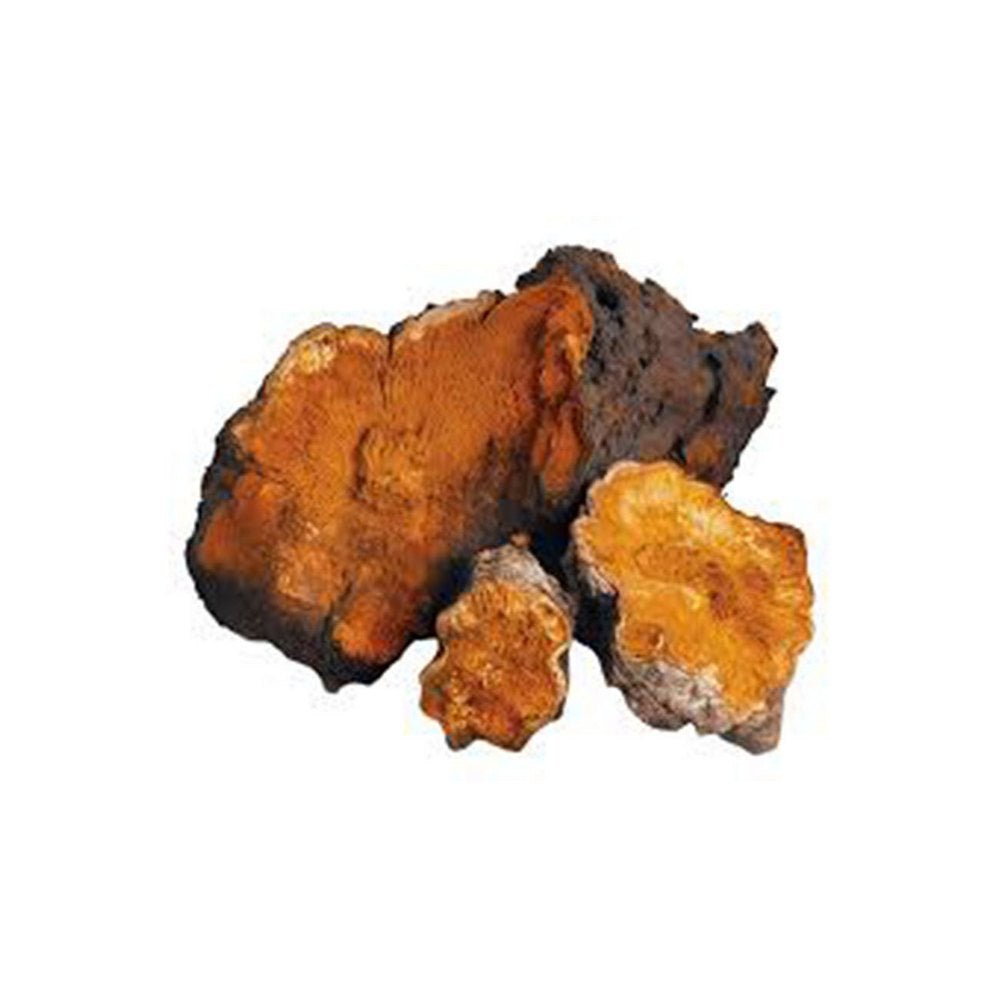 Organic Chaga Powder 60g - Mushrooms 4 Life - Mushroom powder - Eco Natural Products