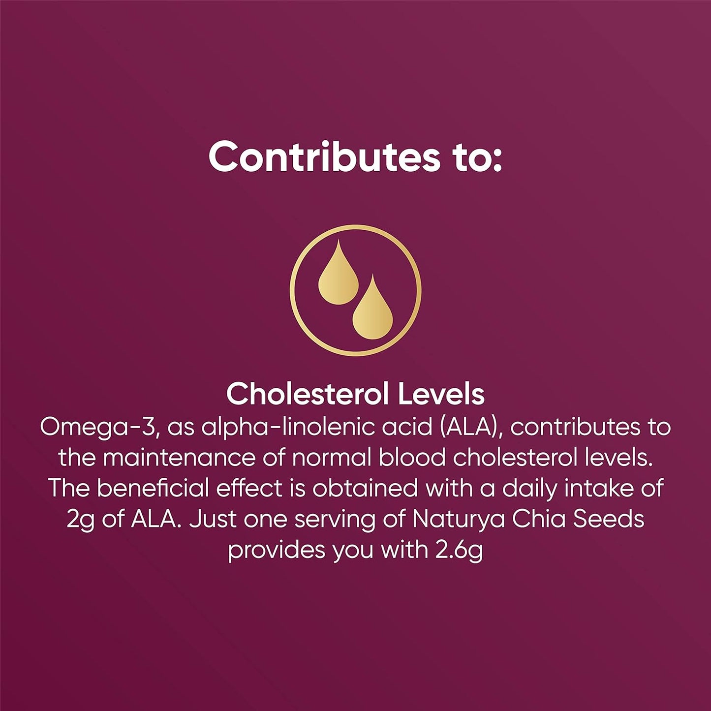 Organic Chia Seeds 300g - Naturya - Seeds - Eco Natural Products