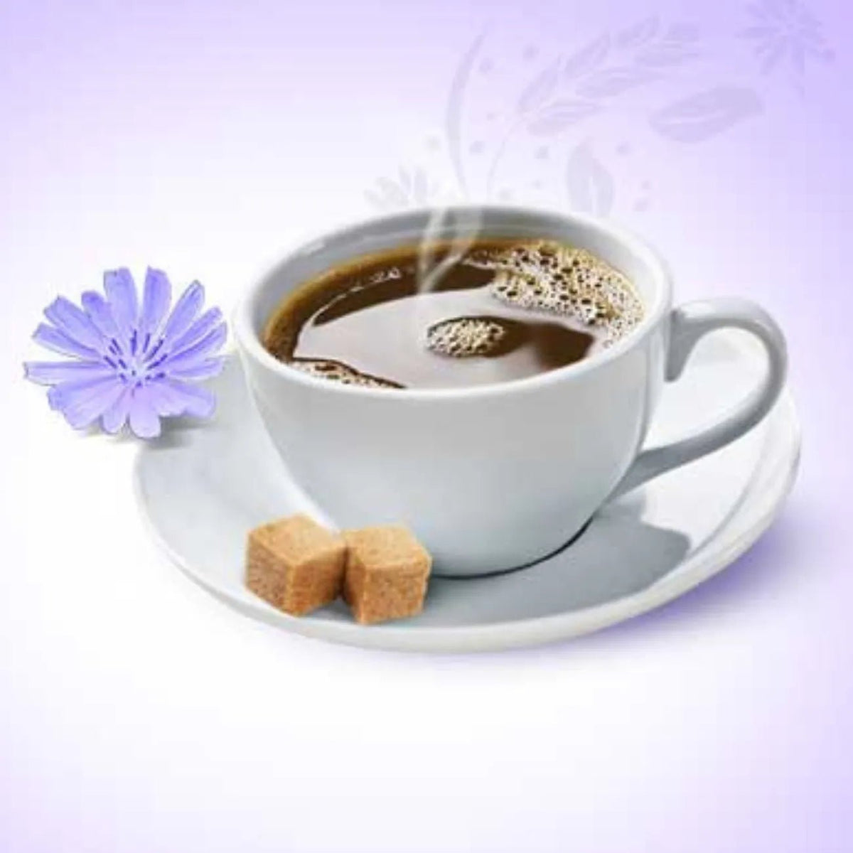 Organic Chicory Cup 100g - Barleycup - Instant Coffee - Barleycup