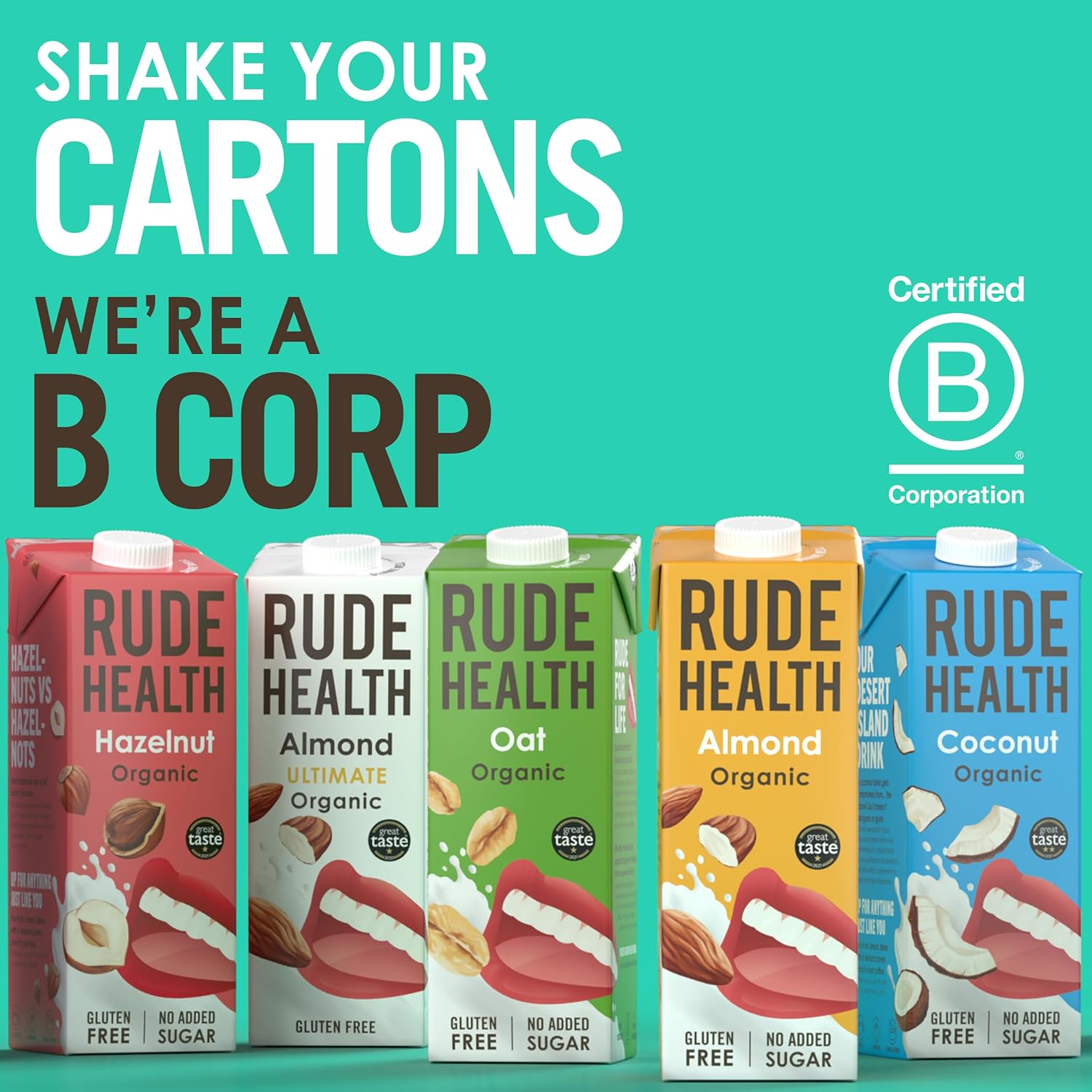 Organic Dairy Free Coconut Drink 1000ml - Rude Health - Milk Alternative - Eco Natural Products