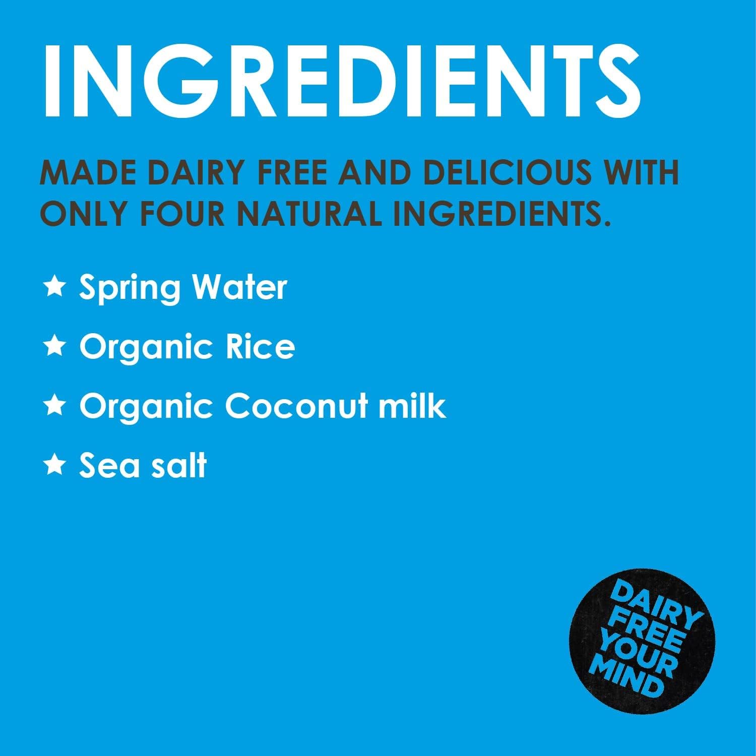 Organic Dairy Free Coconut Drink 1000ml - Rude Health - Milk Alternative - Eco Natural Products