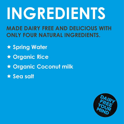 Organic Dairy Free Coconut Drink 1000ml - Rude Health - Milk Alternative - Eco Natural Products