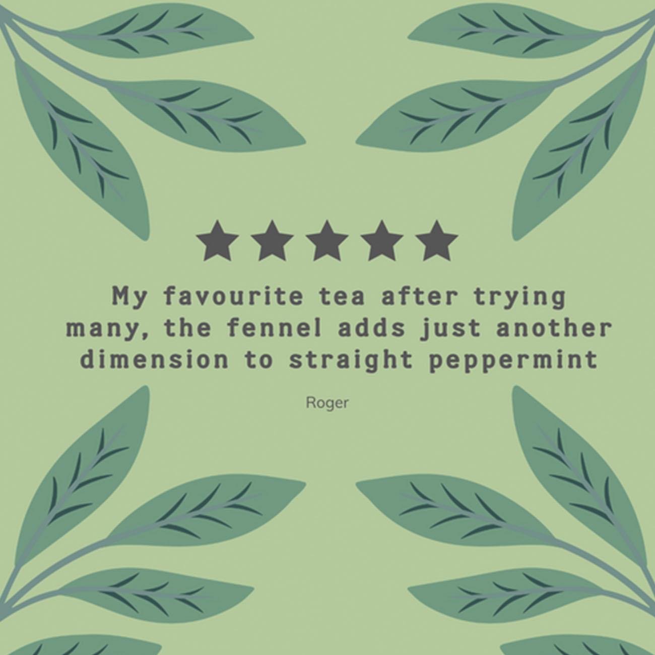 Organic Digest Well Herbal Infusion 20 bags - Hampstead Tea - Eco Natural Products