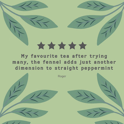 Organic Digest Well Herbal Infusion 20 bags - Hampstead Tea - Eco Natural Products