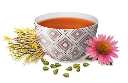 Organic Echinacea Herbal Tea 17 Bags - Yogi Tea - Tea - Eco Natural Products
