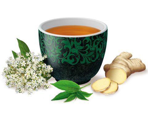 Organic Energy Tea Green 17 Bags - Yogi Tea - Tea - Eco Natural Products