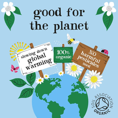 Organic Fairtrade Everyday Decaf Tea 40 Bags - Clipper - Black Tea - Eco Natural Products