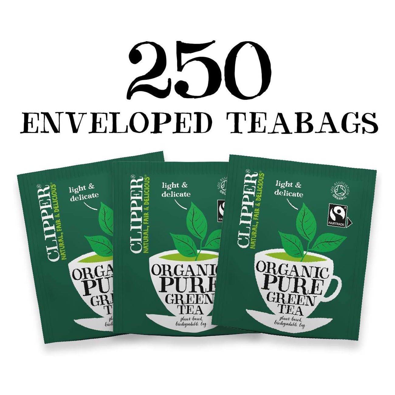 Organic Fairtrade Pure Green Tea 250 Envelopes - Clipper - Green Tea - Eco Natural Products