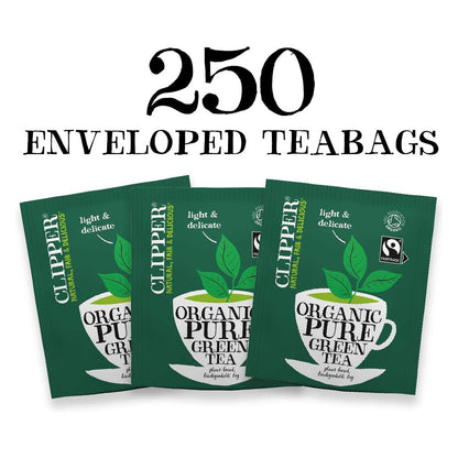 Organic Fairtrade Pure Green Tea 250 Envelopes - Clipper - Green Tea - Eco Natural Products