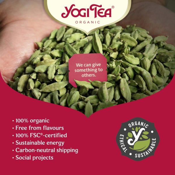 Organic Ginger Lemon Green Tea 17 Bags - Yogi Tea - Teas - Yogi Tea