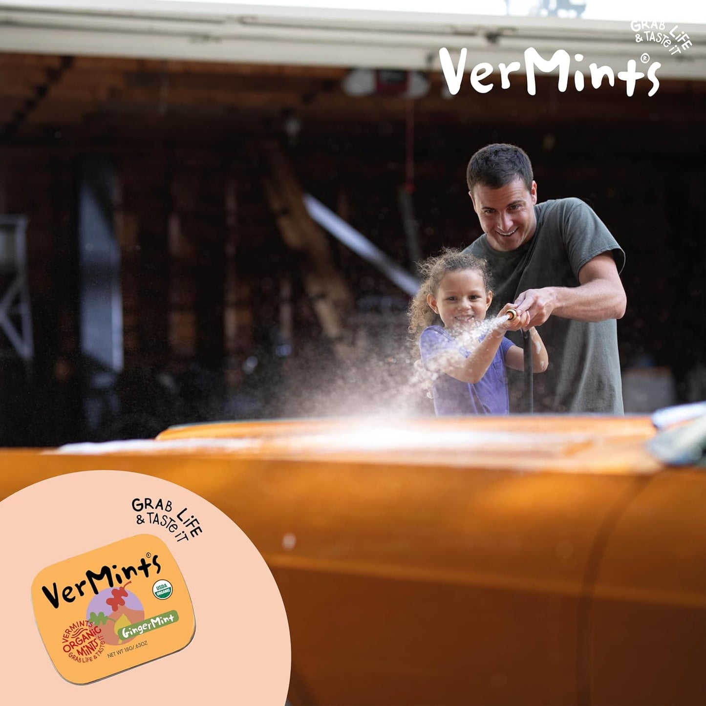 Organic Ginger Mints 40g - Vermints - Mints - Eco Natural Products