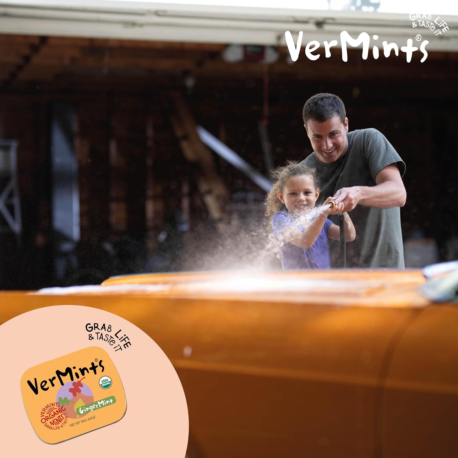 Organic Ginger Mints 40g - Vermints - Mints - Eco Natural Products