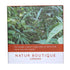 Organic Ginger Tea 20 Sachets - Natur Boutique - Herbal tea - Eco Natural Products