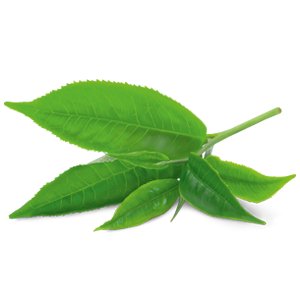 Organic Green Chai Tea 17 Bags - Yogi Tea - Tea - Eco Natural Products