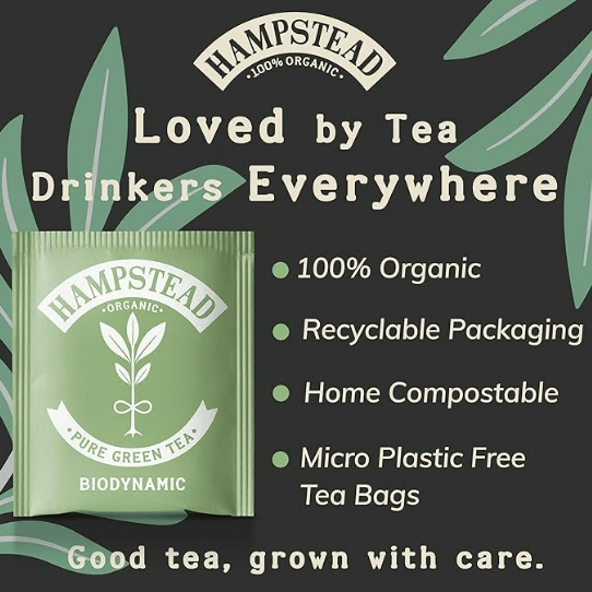 Organic Green Tea 20 Bags - Hampstead Tea - Green Tea - Hampstead Tea