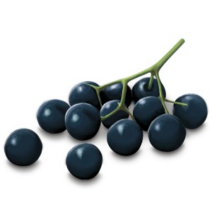 Organic Immune Support Tea 17 Bags - Yogi Tea - Tea - Eco Natural Products