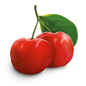 Organic Immune Support Tea 17 Bags - Yogi Tea - Tea - Eco Natural Products