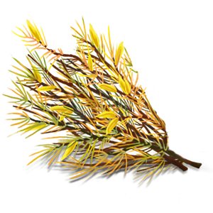 Organic Inner Harmony Herbal Tea 17 Bags - Yogi Tea - Tea - Eco Natural Products