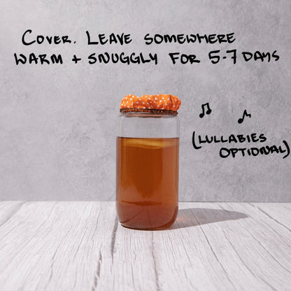 Organic Kombucha Scoby Starter 500ml - Blighty Booch Kombucha - Tea - Eco Natural Products